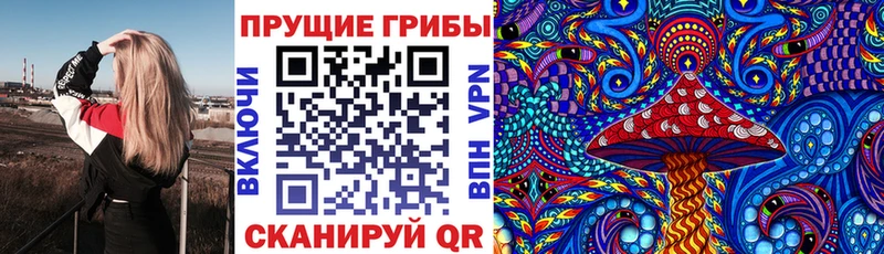 Псилоцибиновые грибы мухоморы  купить   Нижний Новгород 