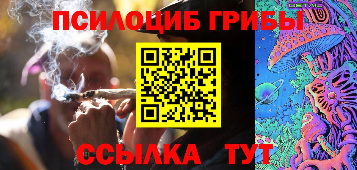 Псилоцибиновые грибы Cubensis  Вход с VPN  Нижний Новгород 