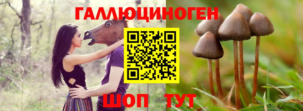 Нижний Новгород  Галлюциногенные грибы мицелий  Вход с VPN  наркошоп  Галлюциногенные грибы Psilocybe 